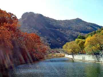 新澳天天开奖资料大全旅游团，纵横书库